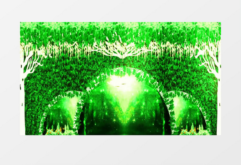 绿色蝴蝶静谧森林视频素材
