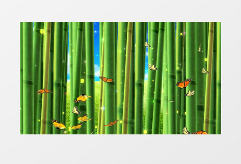 蝴蝶飞舞在竹林间舞台背景视频素材
