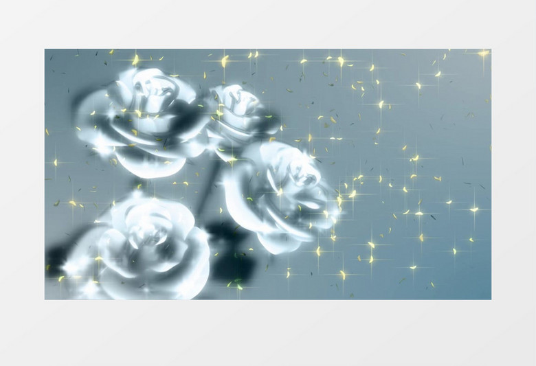 闪亮的银色玫瑰花束视频素材