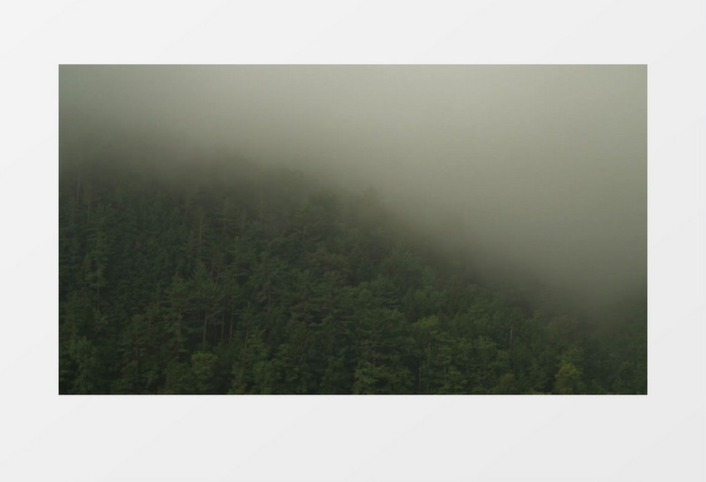 户外森林山区薄雾蒙蒙实拍视频素材