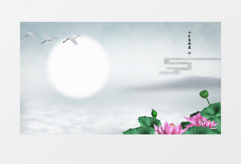 唯美飞燕荷花明月风格背景视频
