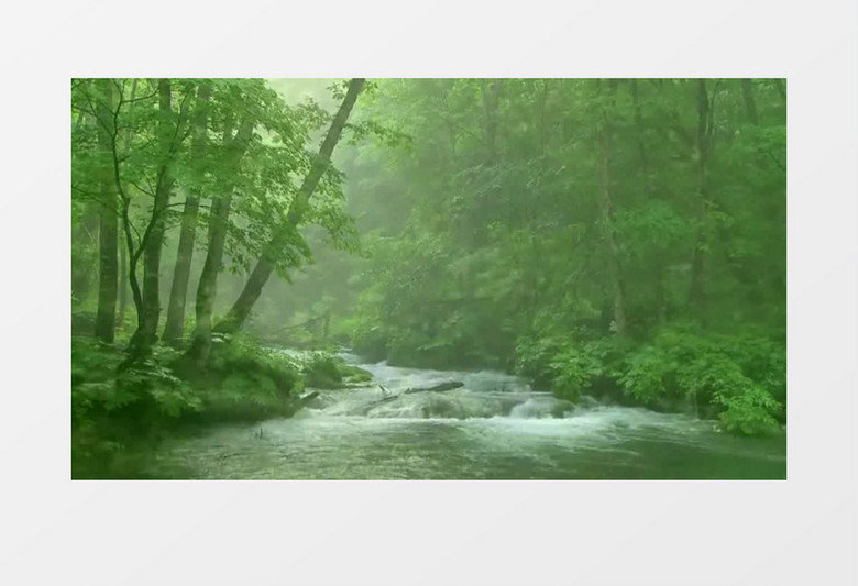 自然山间森林实拍视频素材