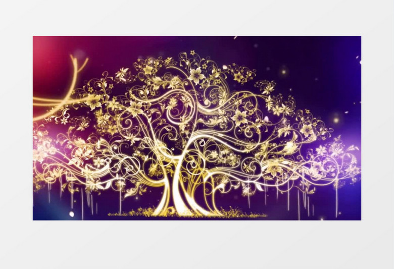 夜晚金色发光植物视频素材