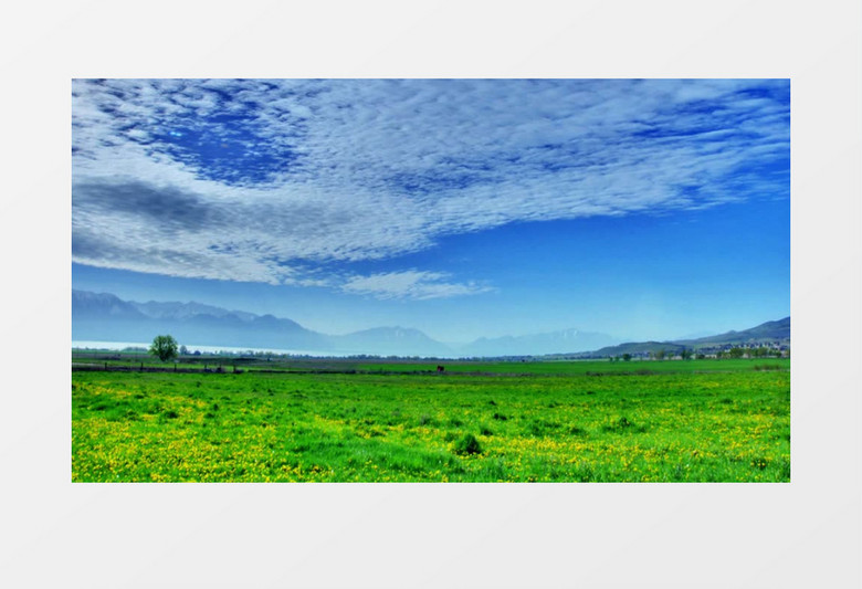 动画动态蓝天白云美丽的草原背景视频素材