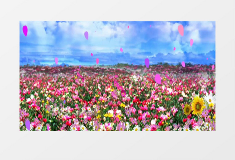 炫丽梦幻花海舞台背景视频素材