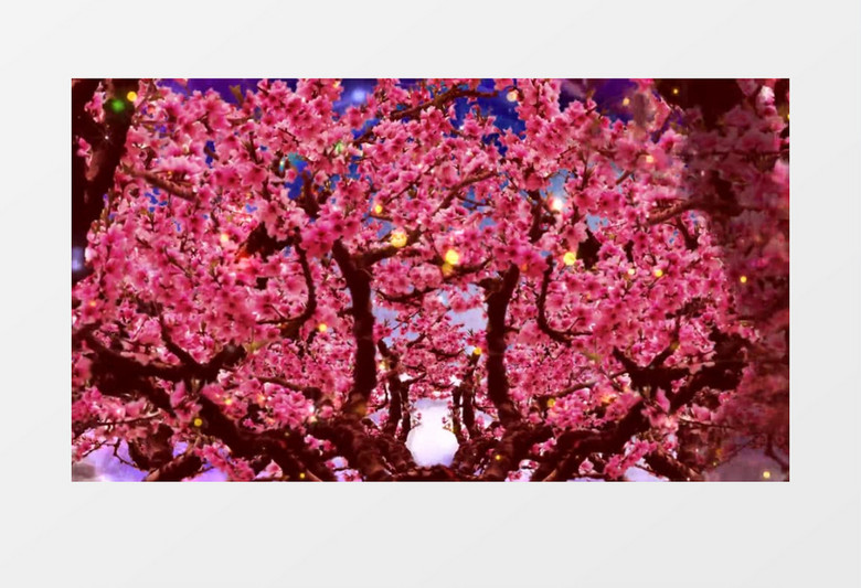 浪漫唯美桃花林背景视频素材