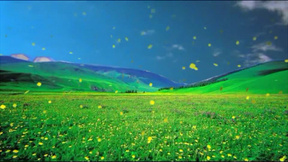 草原背景视频素材 草原背景视频模板下载 熊猫办公 草原背景视频素材 草原背景视频模板下载 熊猫办公