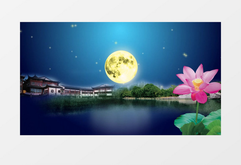 星空圆月荷塘月色背景视频素材