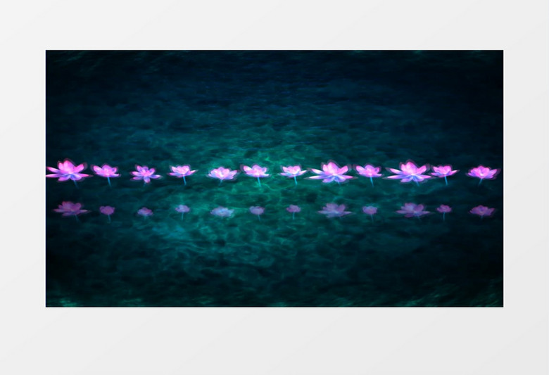 优美映日荷花(有音乐)背景视频素材