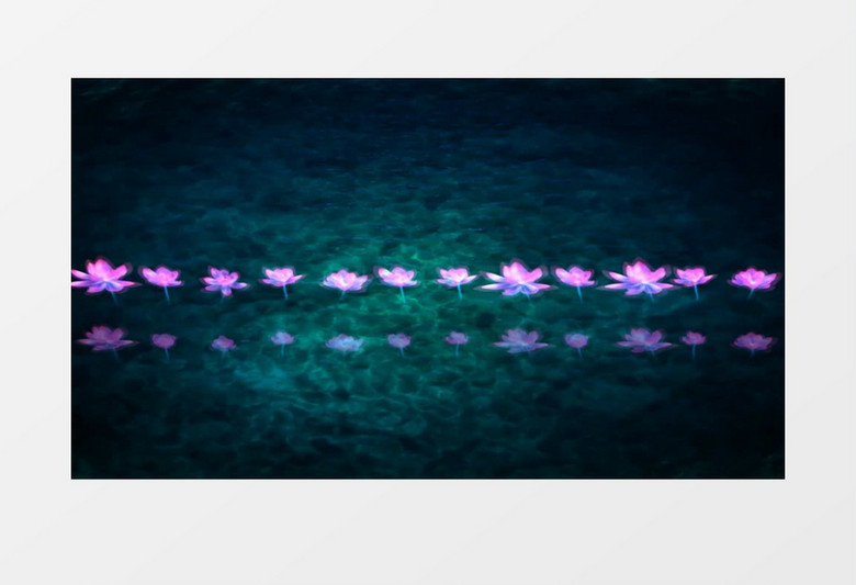 唯美映日荷花优美(有音乐)背景视频