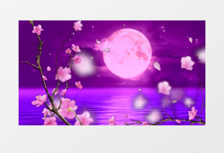 梅花花瓣飘落圆月唯美背景视频