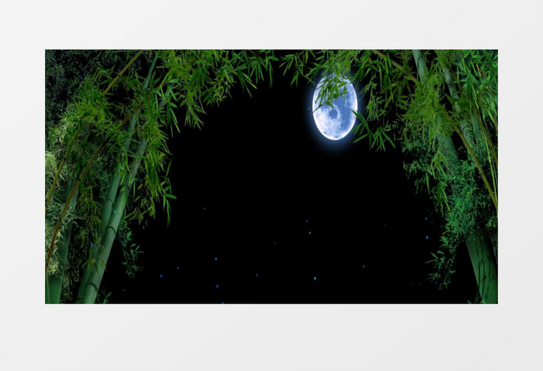 竹林月亮唯美夜色背景视频