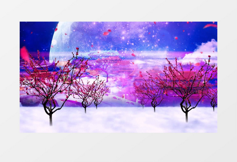 花好月圆唯美夜色背景视频