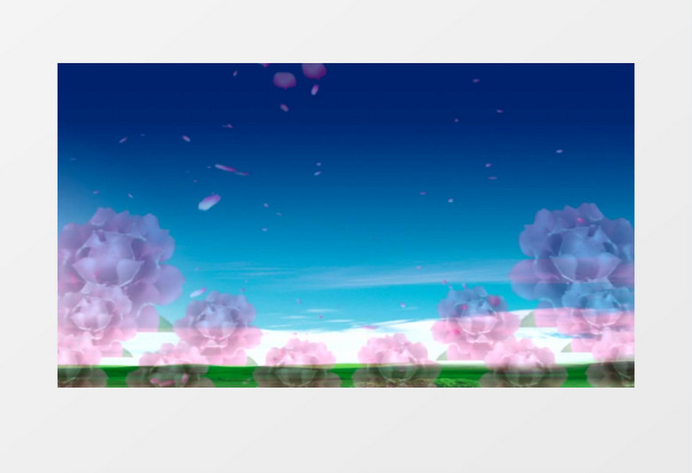 动画动态灯笼牡丹花瓣背景视频素材