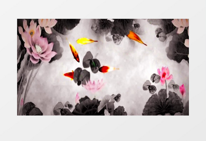 动画动态中国水墨风荷花鱼动态演出背景视频素材