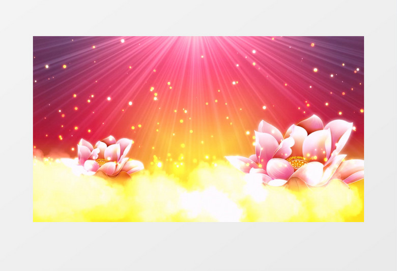 荷花喜庆背景视频