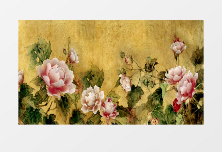 动画动态牡丹画卷轴慢慢展开背景视频素材