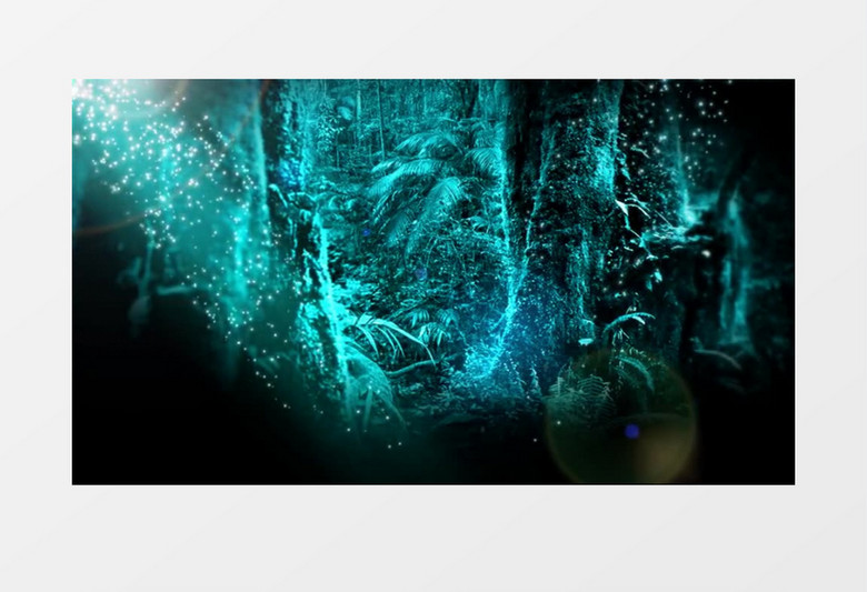 光粒子流动森林背景视频素材