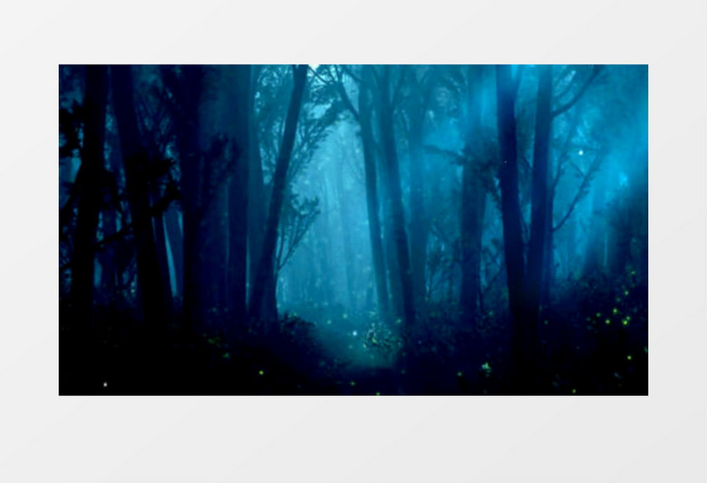 神秘宁静森林背景视频素材