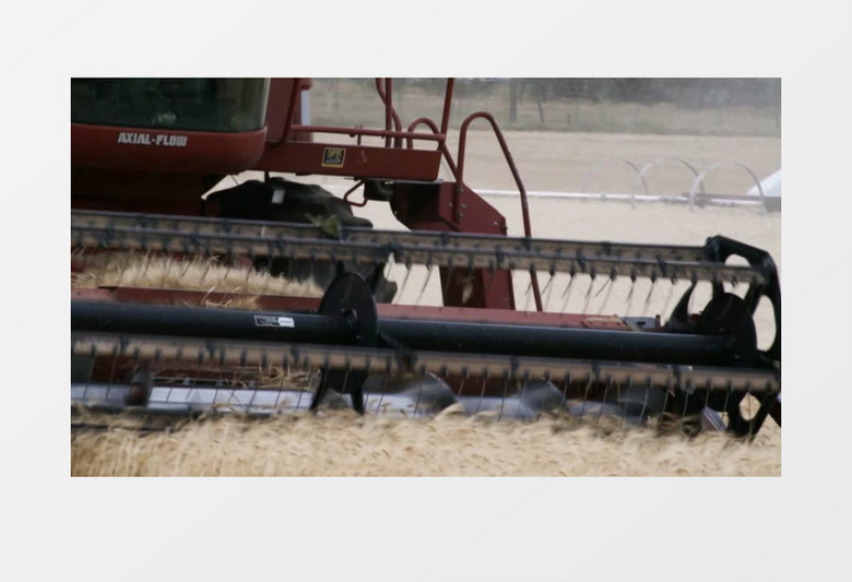 现代农业机械收割实拍视频素材