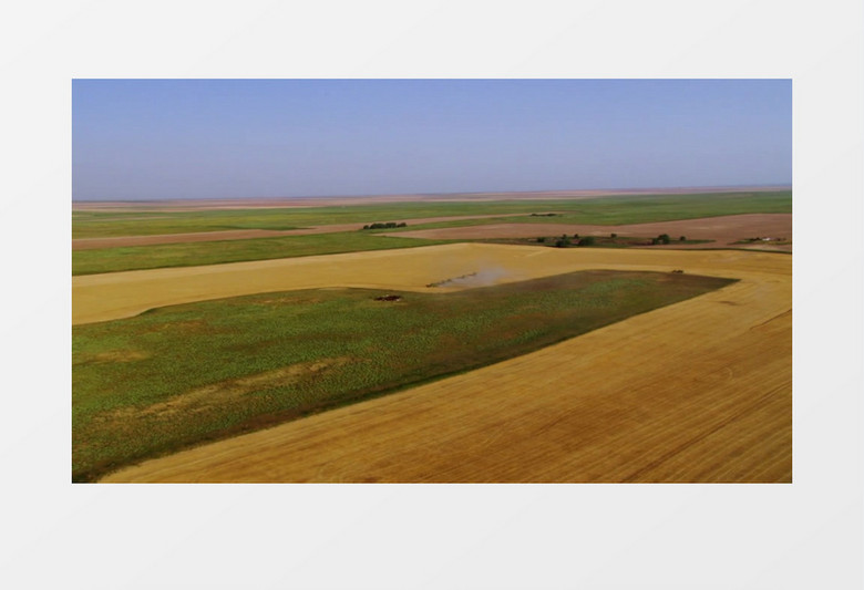 一望无际农田航拍视频素材