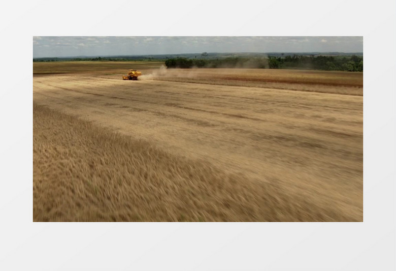航拍现代农业机械收割视频素材