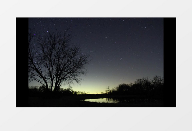 树林夜里的繁星流动视频素材