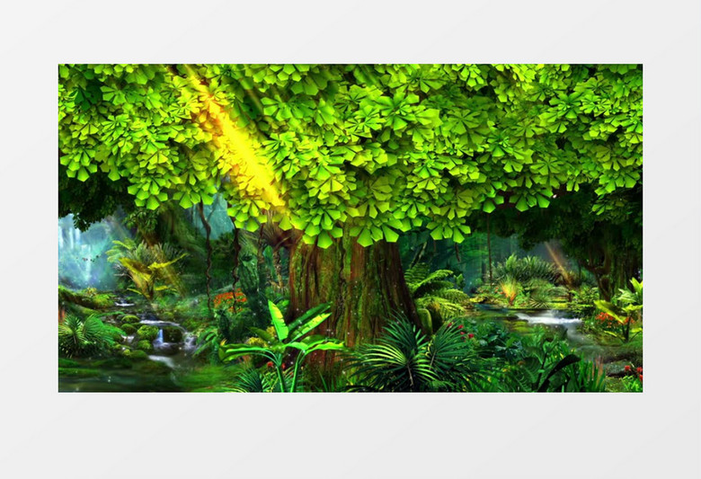 生气盎然森林背景视频素材