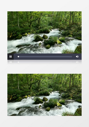 森林树林流水河流背景视频素材