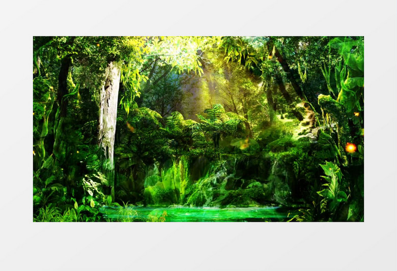 森林青枝绿叶背景视频素材