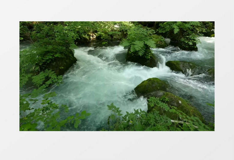 森林激流的小河近距离实拍视频素材