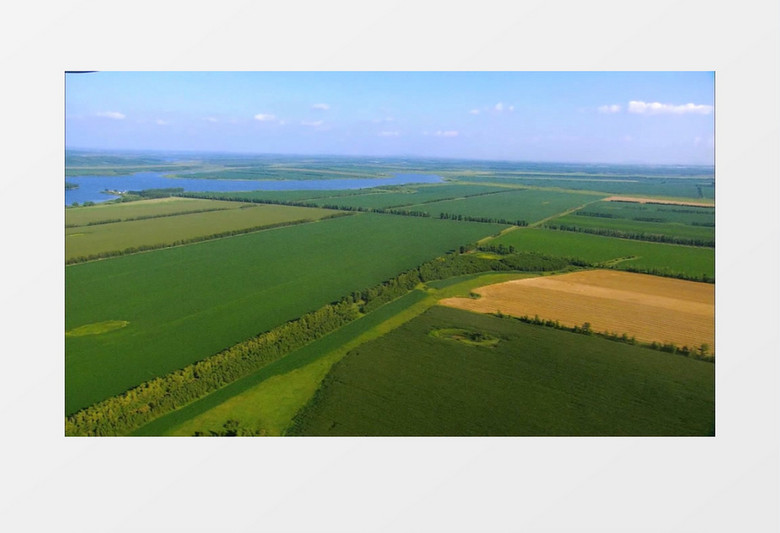 航拍绿色农田风景视频素材