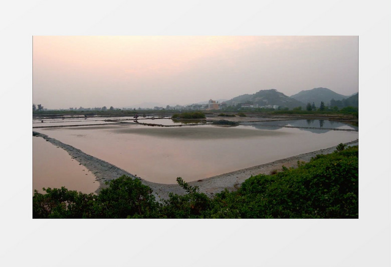 晚霞水塘养鱼农民实拍视频素材