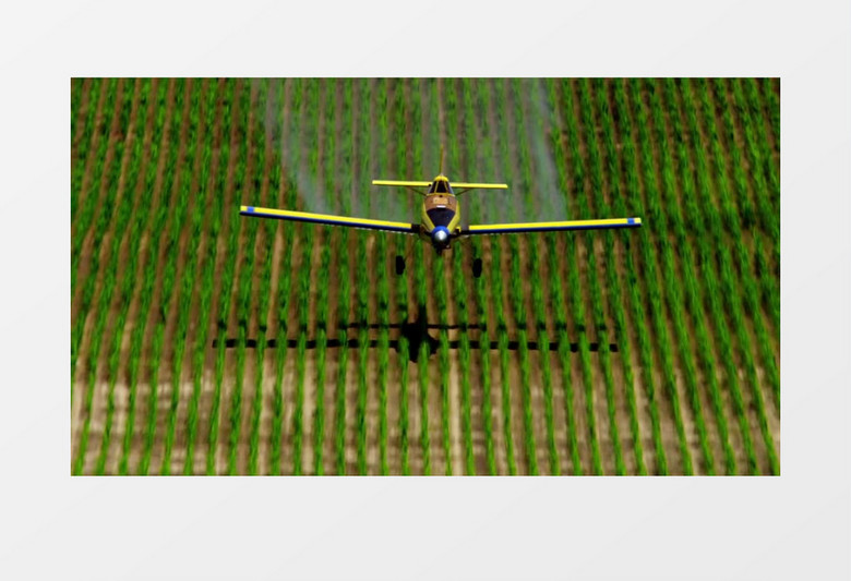 现代农业机器喷洒农药实拍视频素材