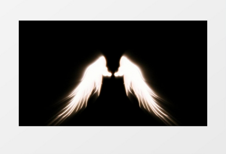 动画动态白色天使翅膀背景视频素材