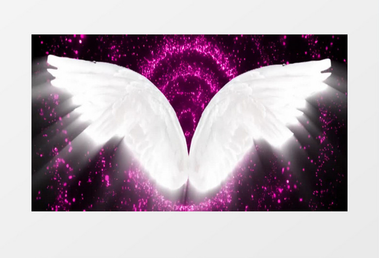 动画动态紫色粒子闪烁美丽翅膀背景视频素材