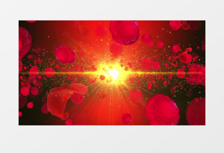 玫瑰花瓣飘落(有音乐)背景视频