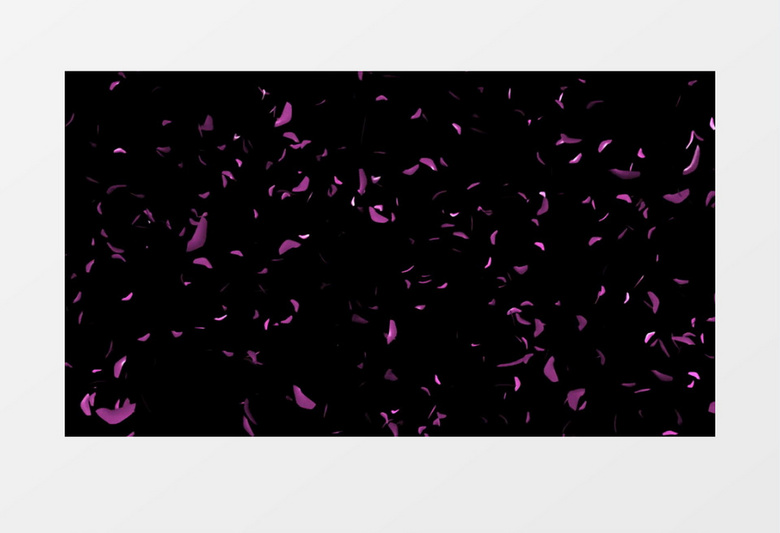 紫色花瓣飘散背景视频