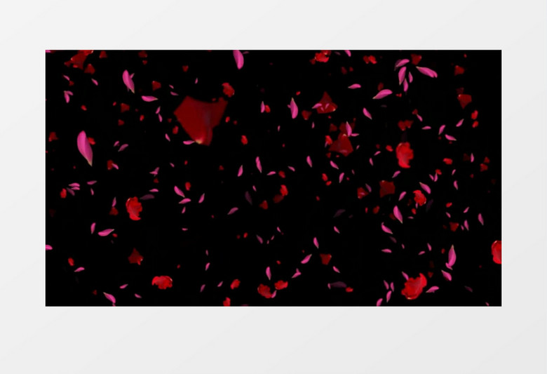 玫瑰花飘落背景视频