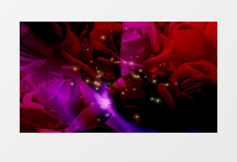 动感玫瑰花瓣(有音乐)背景视频
