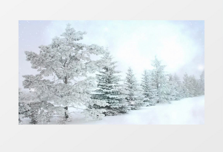 冬天森林雪景(有音乐)背景视频