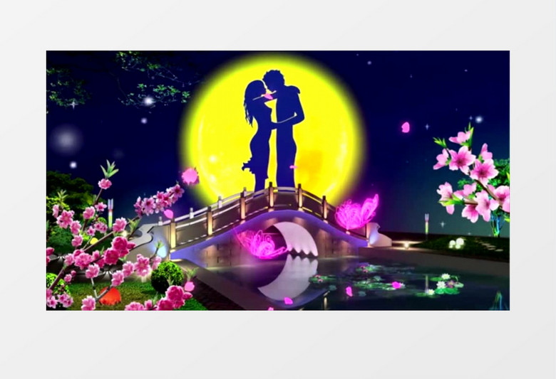 蝴蝶纷飞情人相会视频素材