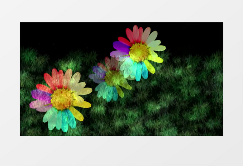 五颜六色花朵视频素材