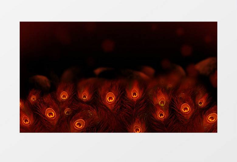 动画动态唯美孔雀翎背景视频素材