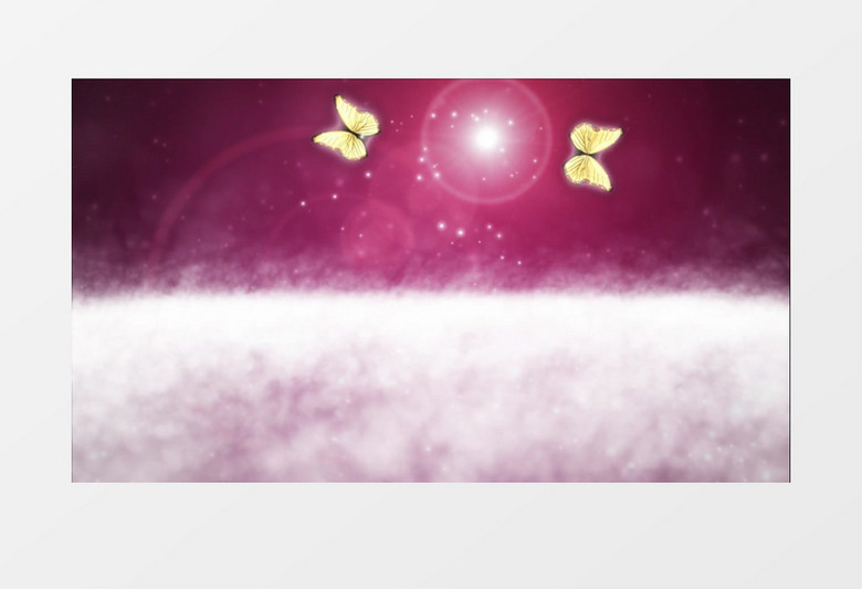 浪漫蝴蝶双喜婚礼背景视频