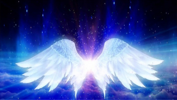 飞翔 背景视频素材 闪烁01:11动画动态蓝色粒子闪烁飞翔的翅膀有音乐