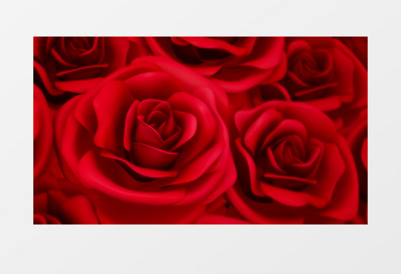 转动的红玫瑰浪漫心型唯美婚礼背景