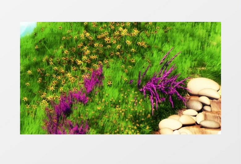 唯美浪漫的山坡绿植背景视频素材