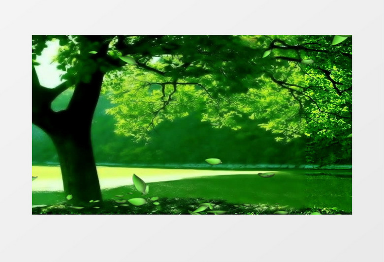 美丽的大自然背景视频素材