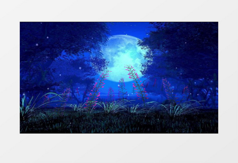 夜光下盛开的花束背景视频素材